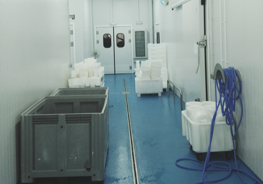 Corridor_Corridor_and_Gateway_Vaiven_Spain1