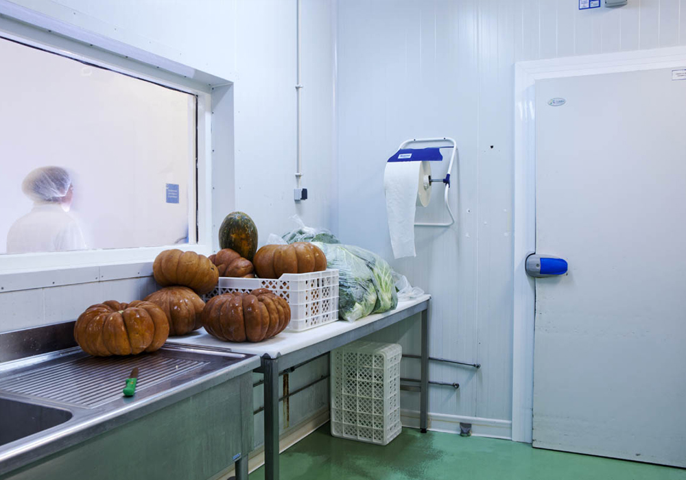 Pivot_door_and_Window_PVC_Hospitality_France1